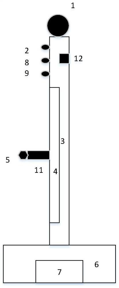 Disinfection device for human body, and disinfection method