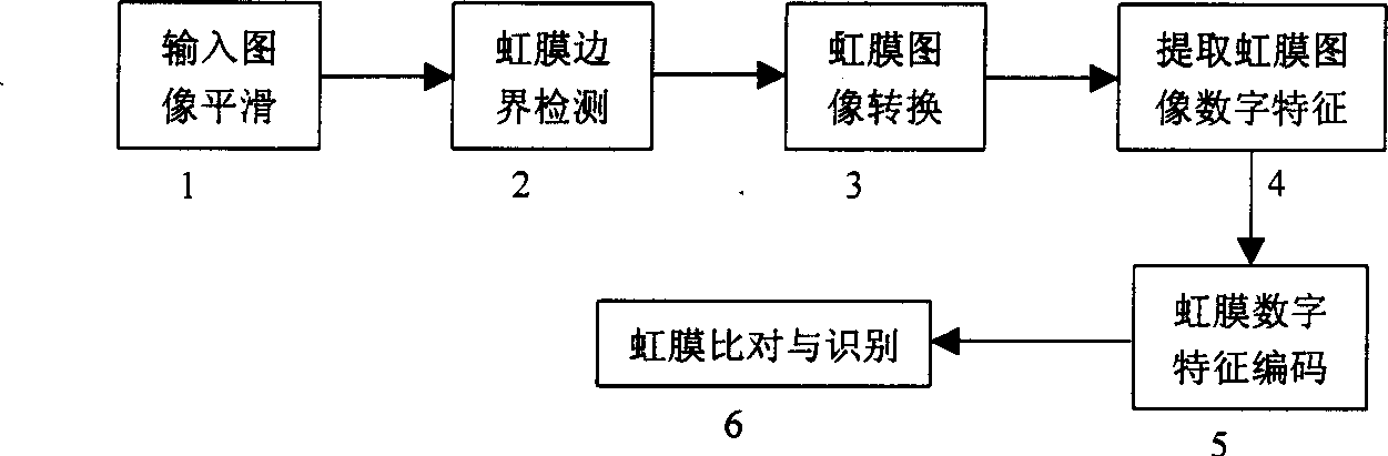 Iris recognizing method