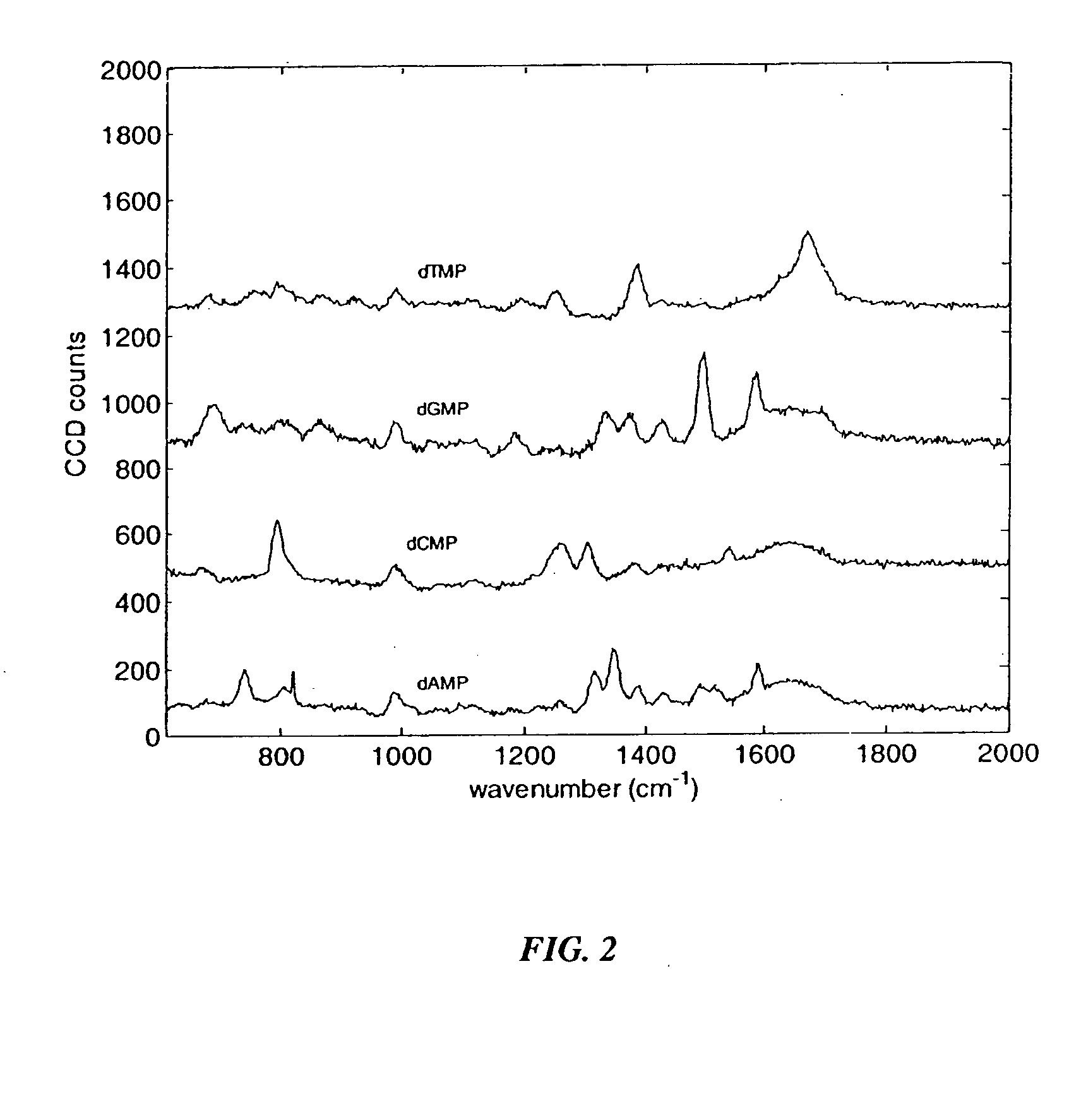 Nucleic acid sequencing by Raman monitoring of uptake of nucleotides during molecular replication