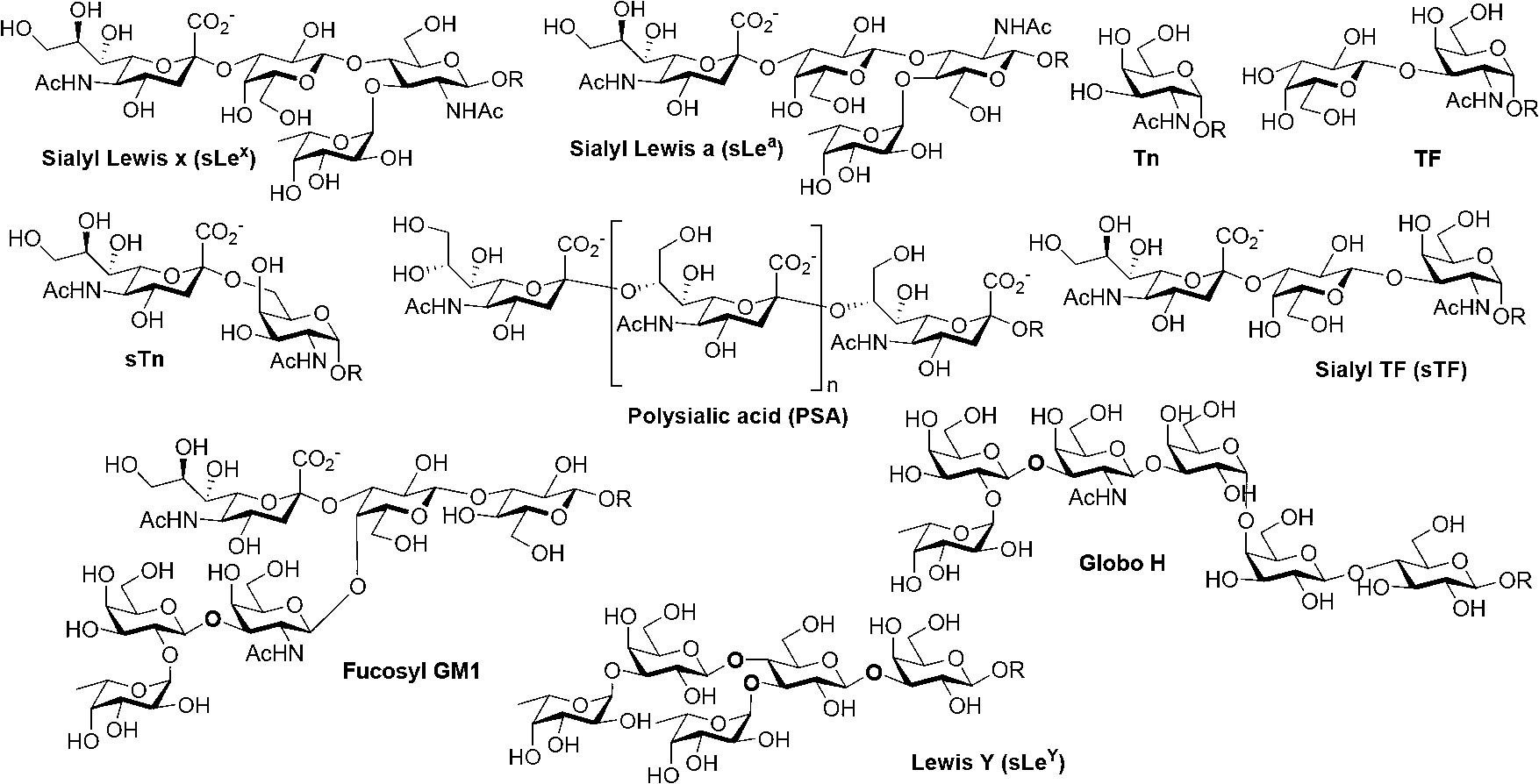 Thomsen-Friedenreich (TF) antigen and TF antigen analogue and their chemoenzymatic synthesis method and use