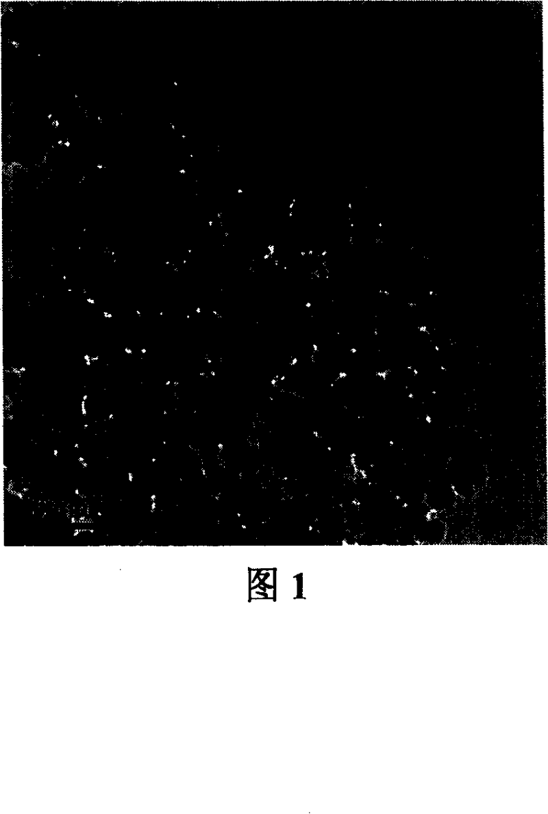 Method for preparing polar solvent soluble nano ferriferrous oxide granule