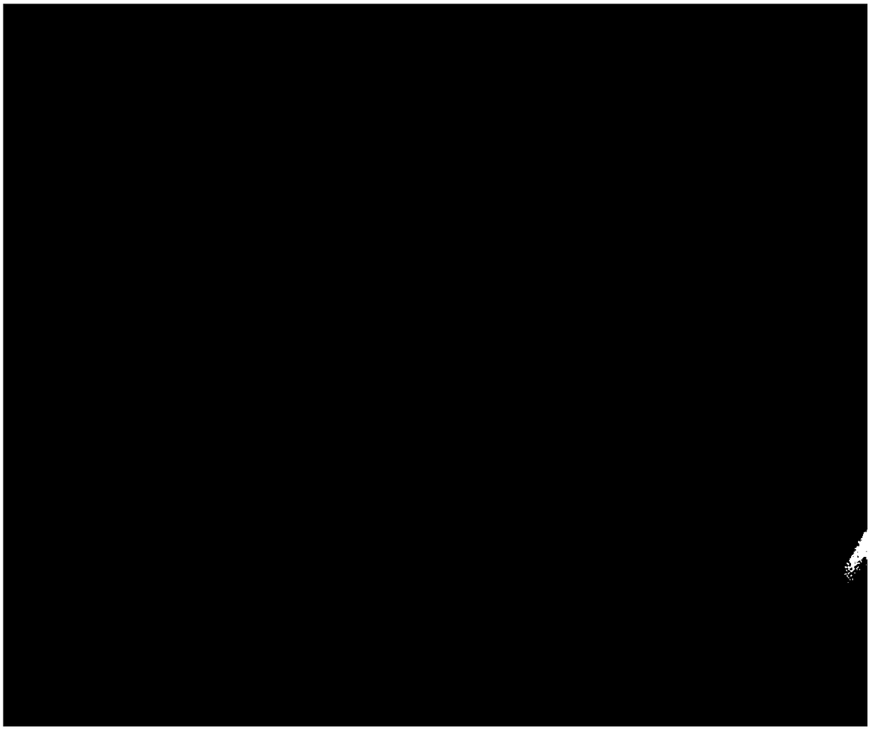 Preparation method of tungsten disulfide nano sheet