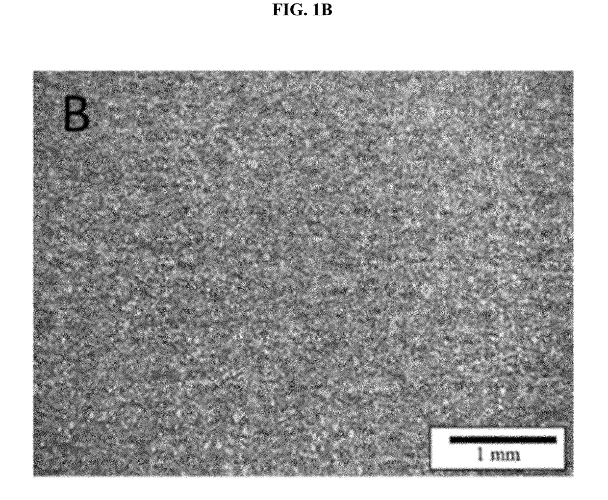 Additive manufacturing with nanofunctionalized precursors