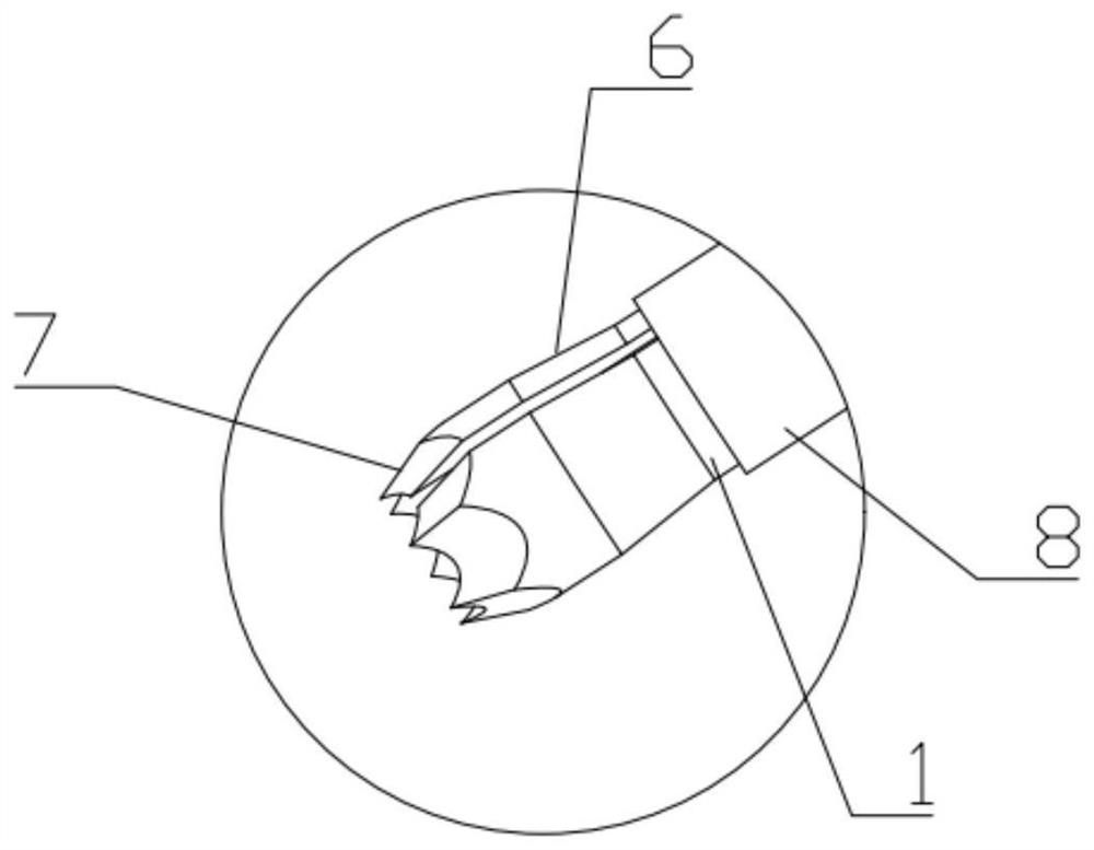 Enclasping type biopsy extractor