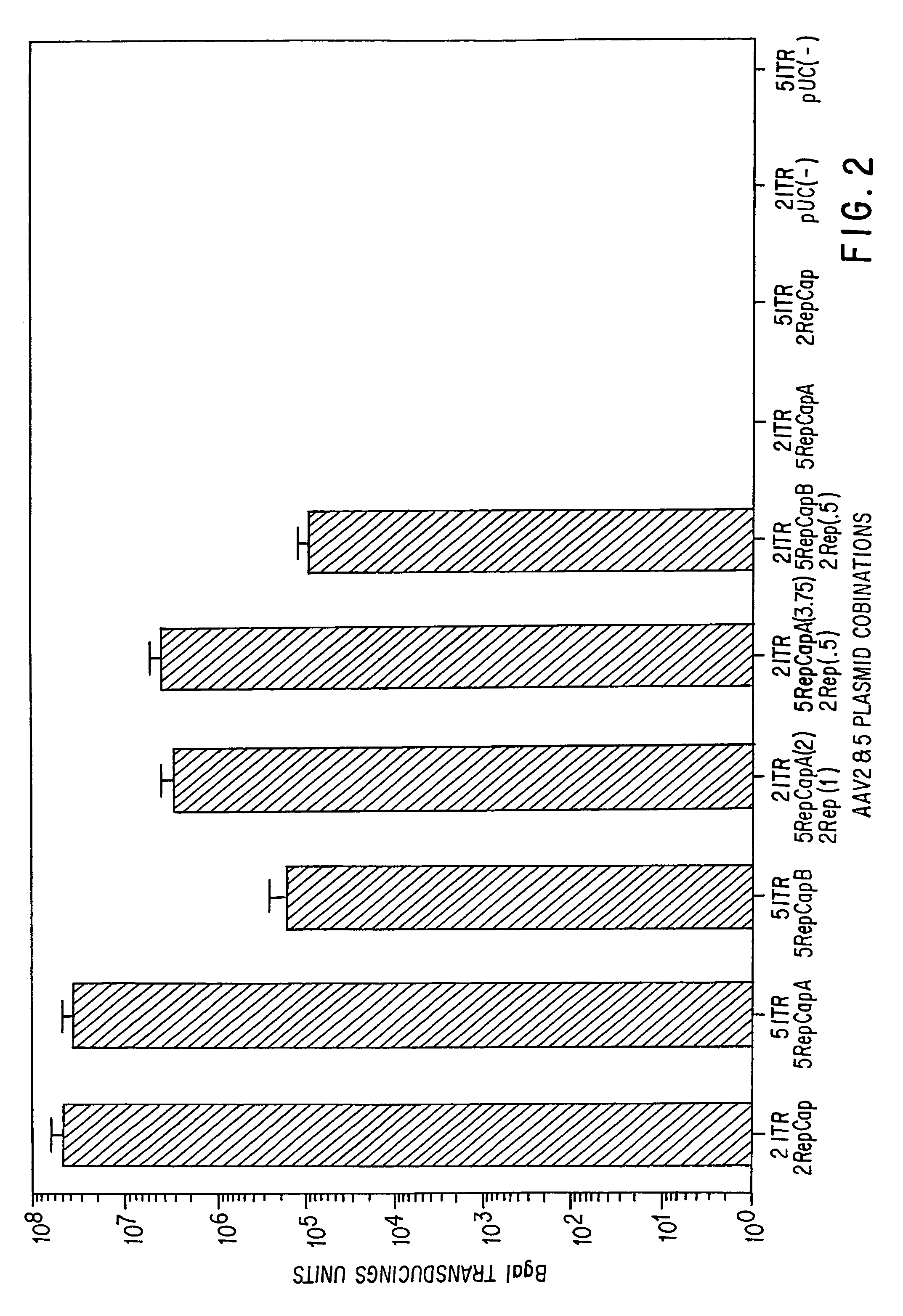 AAV5 nucleic acids