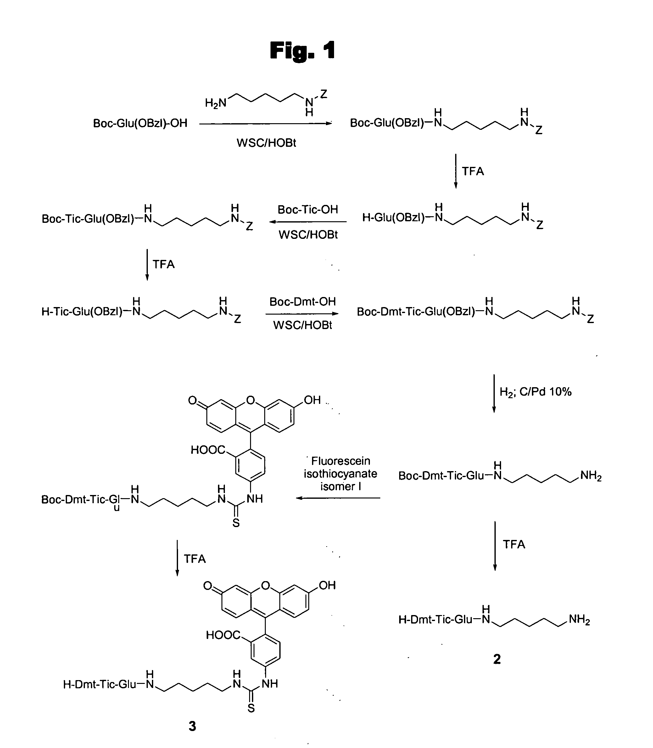 Biologically potent analogues of the Dmt-Tic pharmacophore and methods of use