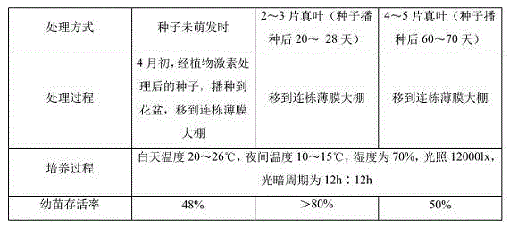 Artificial multiplication method for carpinus tientaiensis