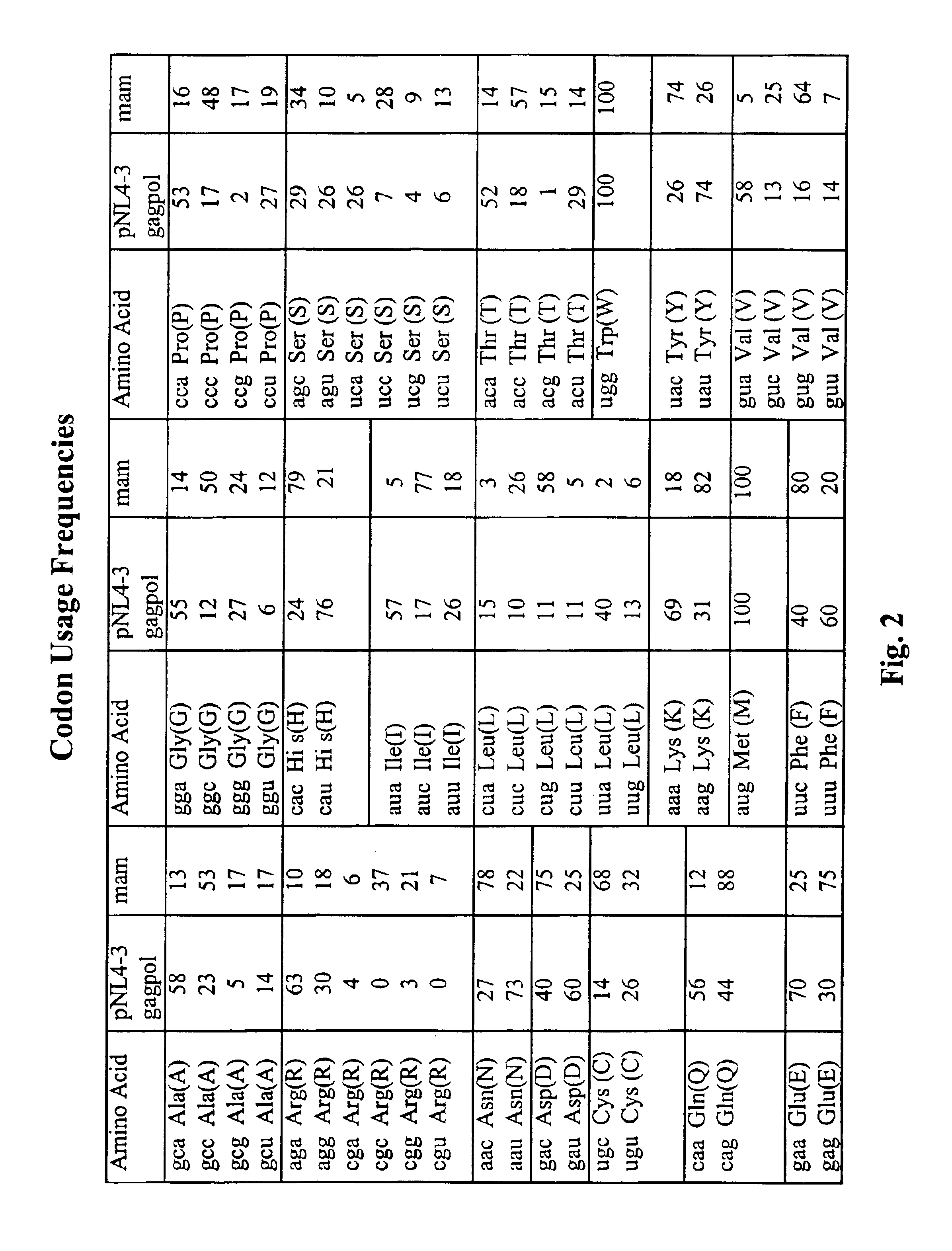 Packaging cells comprising codon-optimized gagpol sequences and lacking lentiviral accessory proteins