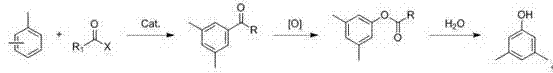 Preparation method of 3,5-dimethylphenol