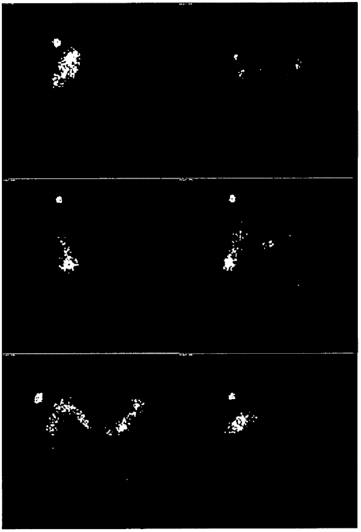 Solid compositions comprising 5-aminolevulinic acid