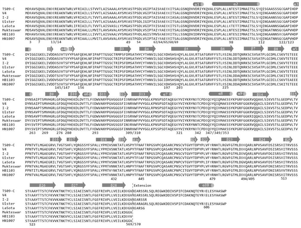 Genetic modification method for changing thermal stability of envelope virus, recombinant virus and application of recombinant virus