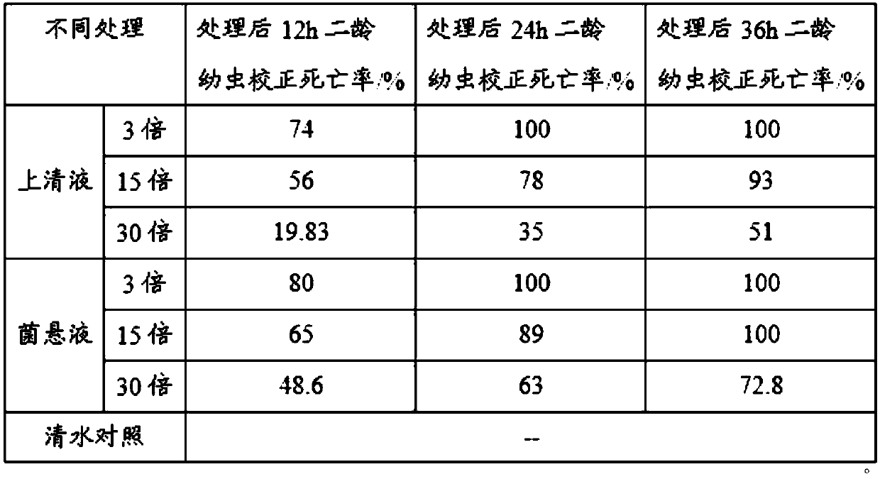 Application of Bacillus cereus bcjb01 in controlling root-knot nematode