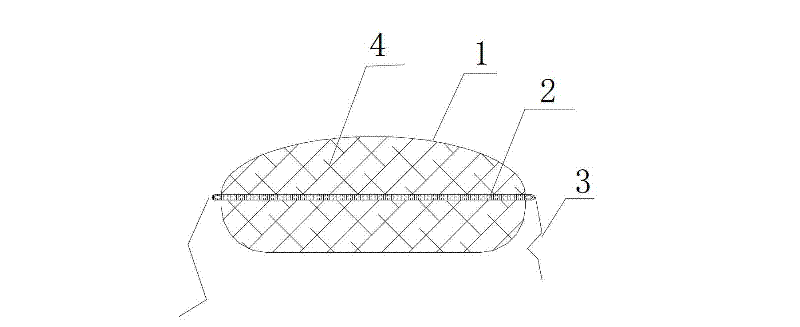 Ecological bag brick and method for establishing constructed wetland in water level fluctuation area by use of same