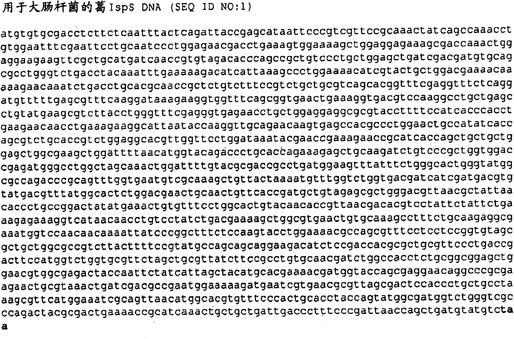 Isoprene synthase variants for improved microbial production of isoprene