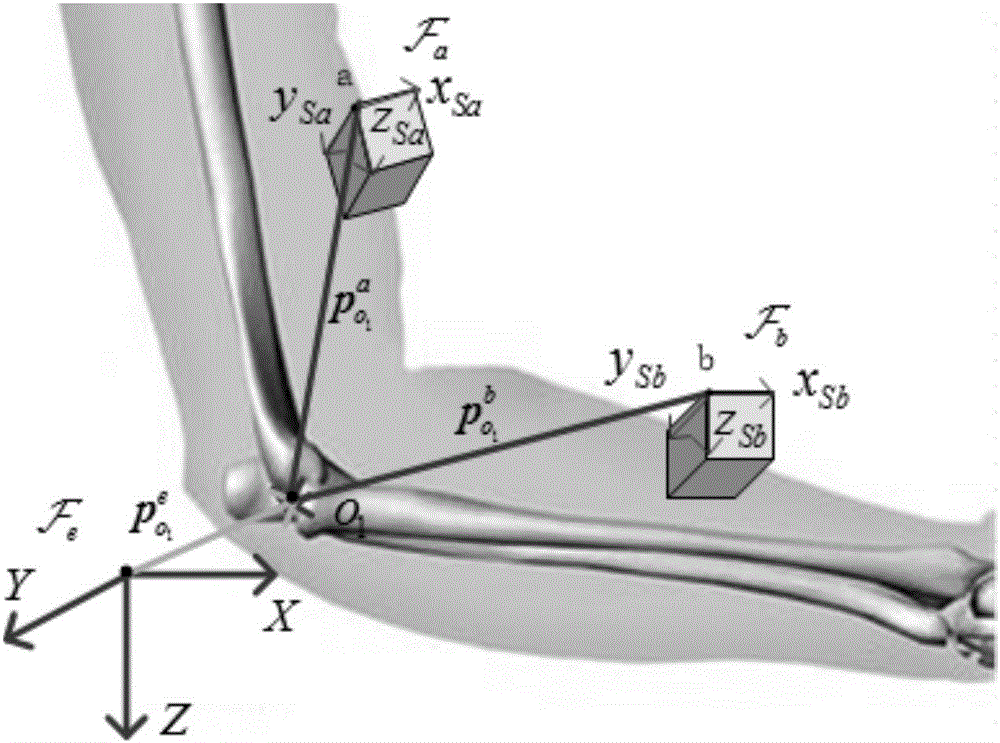 Portable human joint parameter estimation method based on IMU (inertial measurement unit)