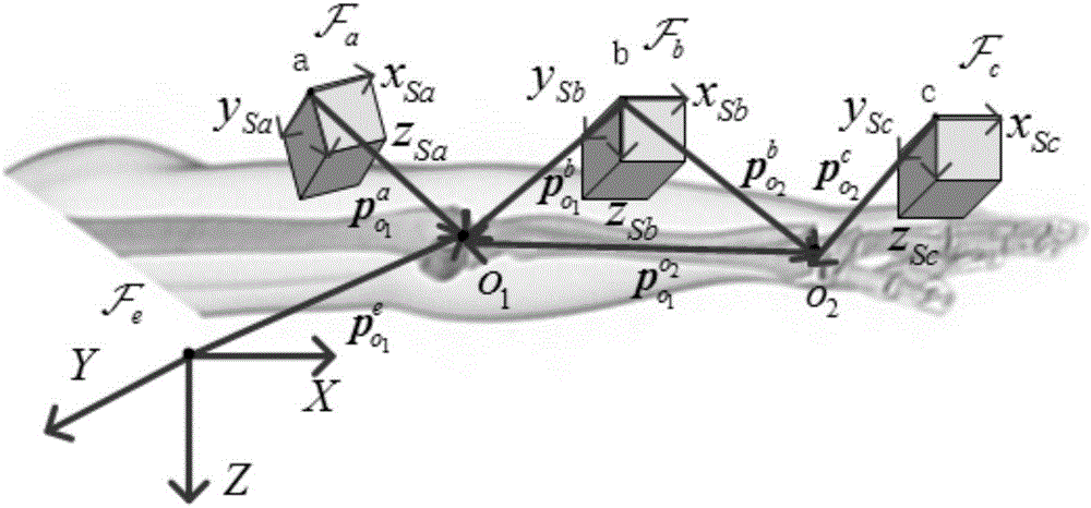 Portable human joint parameter estimation method based on IMU (inertial measurement unit)