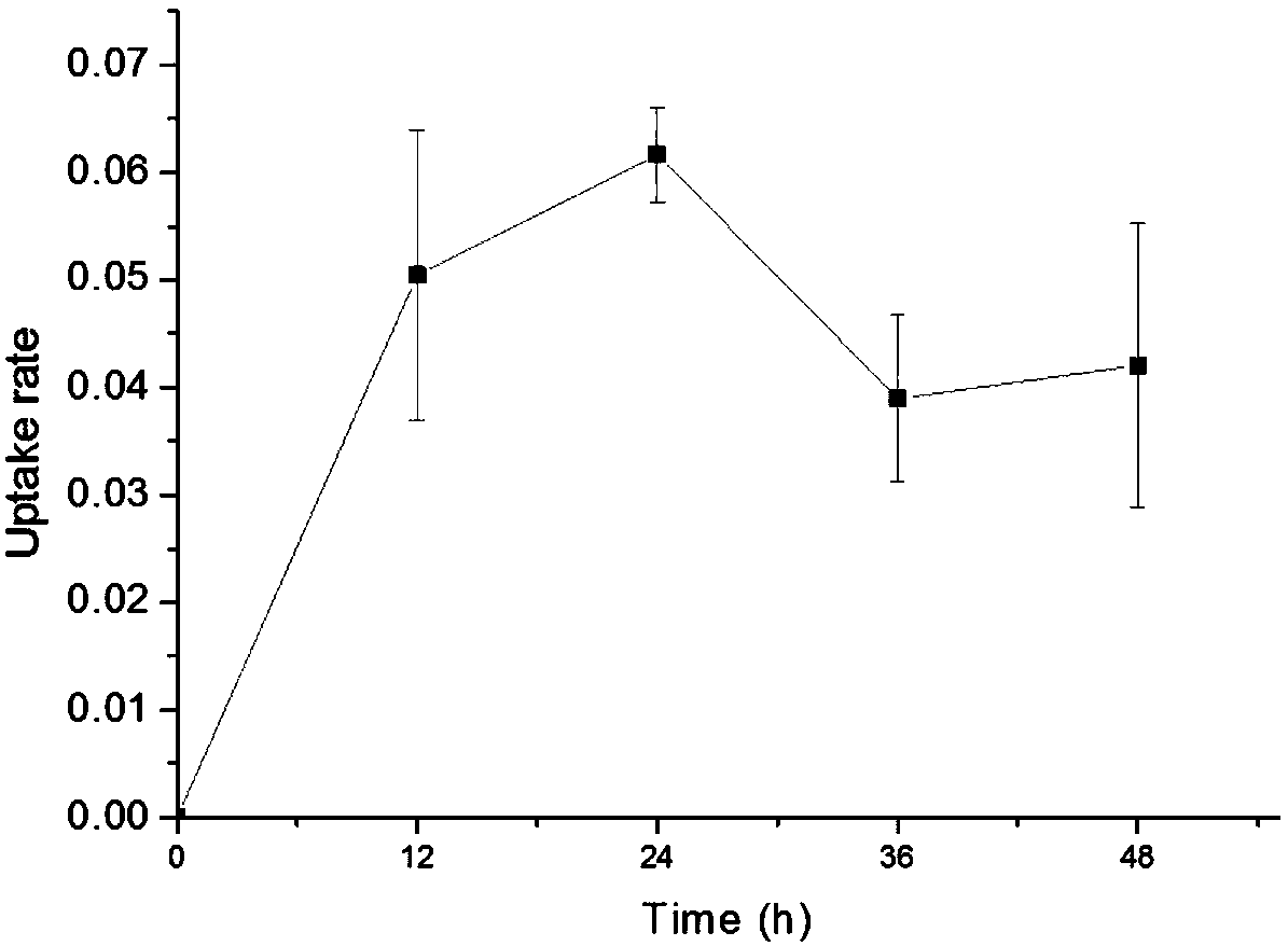 Positively charged water-soluble arm type dendritic ligand silicon phthalocyanine complexes as well as preparation methods and application thereof