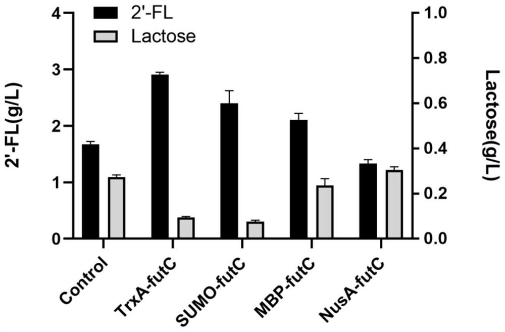 Method for increasing yield of 2'-fucosyllactose in recombinant escherichia coli