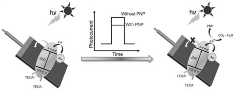 Application of Au/ZnO composite material in photoelectrochemical sensor electrode