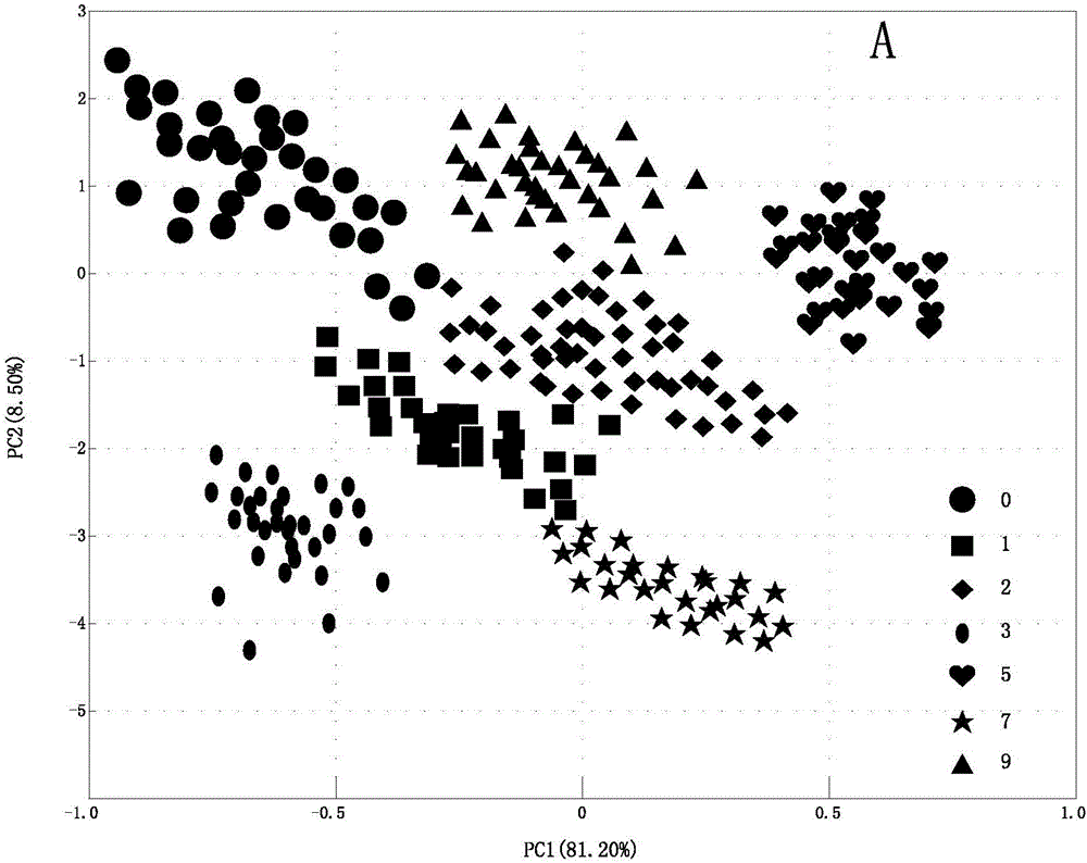 Method for identifying activity of mini-sized potato seeds with EESI-MS (extractive electrospray ionization-mass spectrometry) and multivariate statistical technique