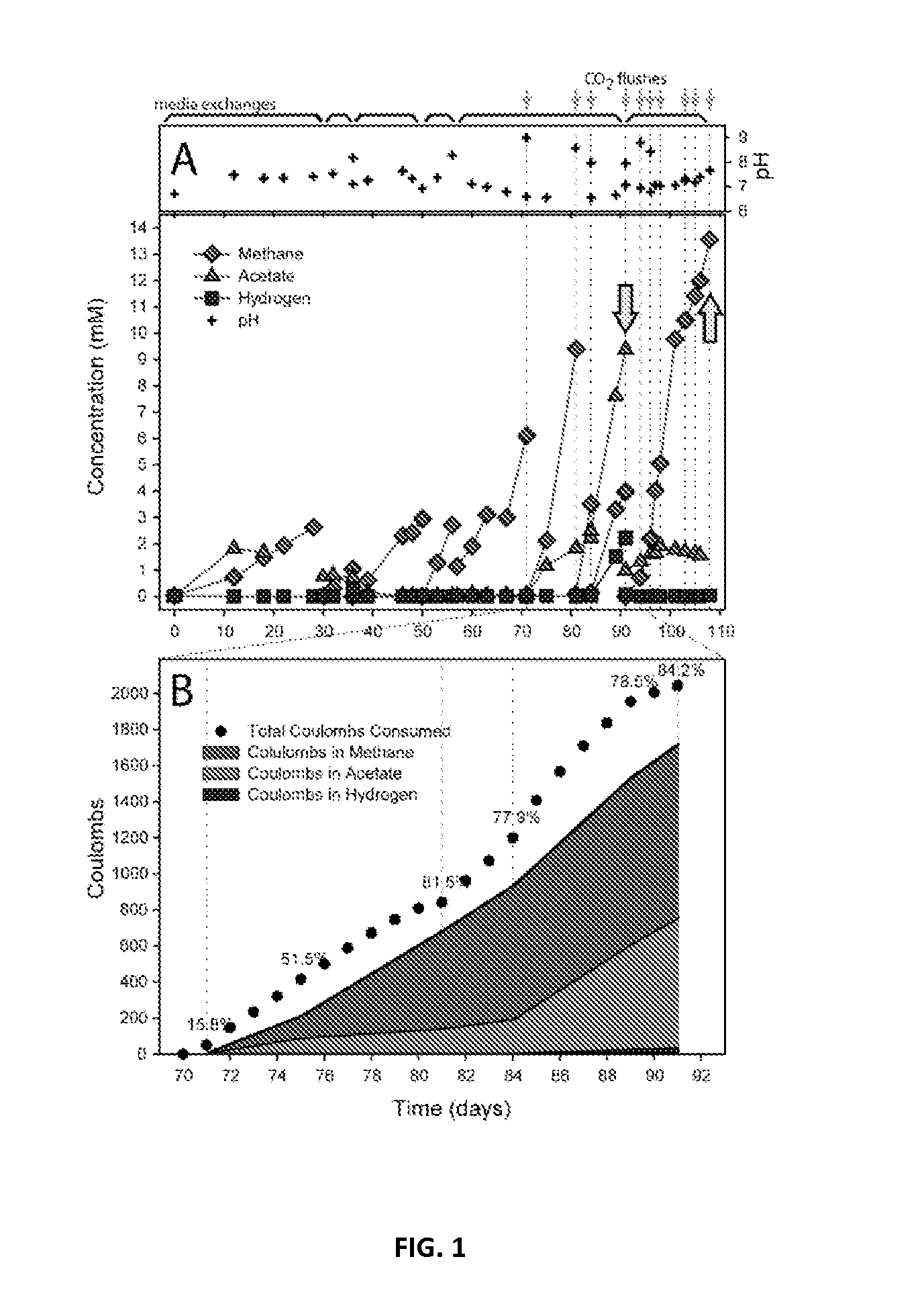 Microbial electrosynthetic cells