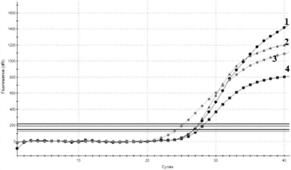 Multiplex real-time fluorescence quantitative PCR detection kit for transgenic rapeseed RF1, Oxy235 and RF3 and application