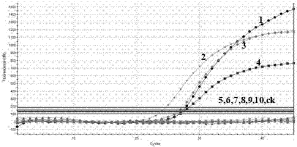 Multiplex real-time fluorescence quantitative PCR detection kit for transgenic rapeseed RF1, Oxy235 and RF3 and application