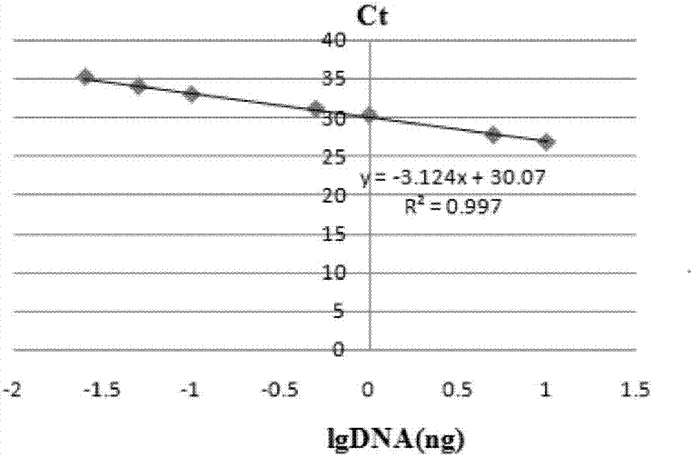 Multiplex real-time fluorescence quantitative PCR detection kit for transgenic rapeseed RF1, Oxy235 and RF3 and application