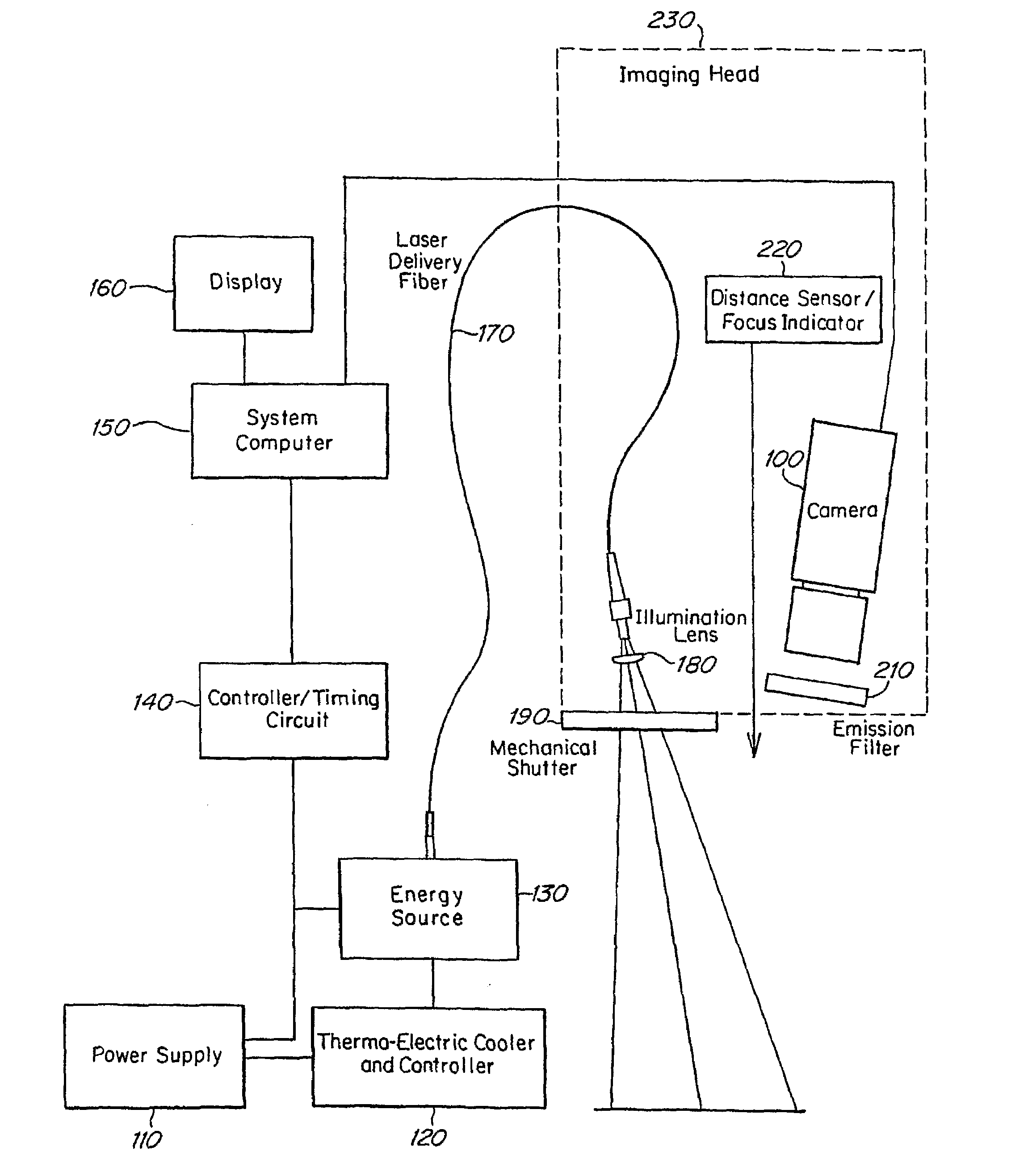 Method and apparatus for vasculature visualization with applications in neurosurgery and neurology