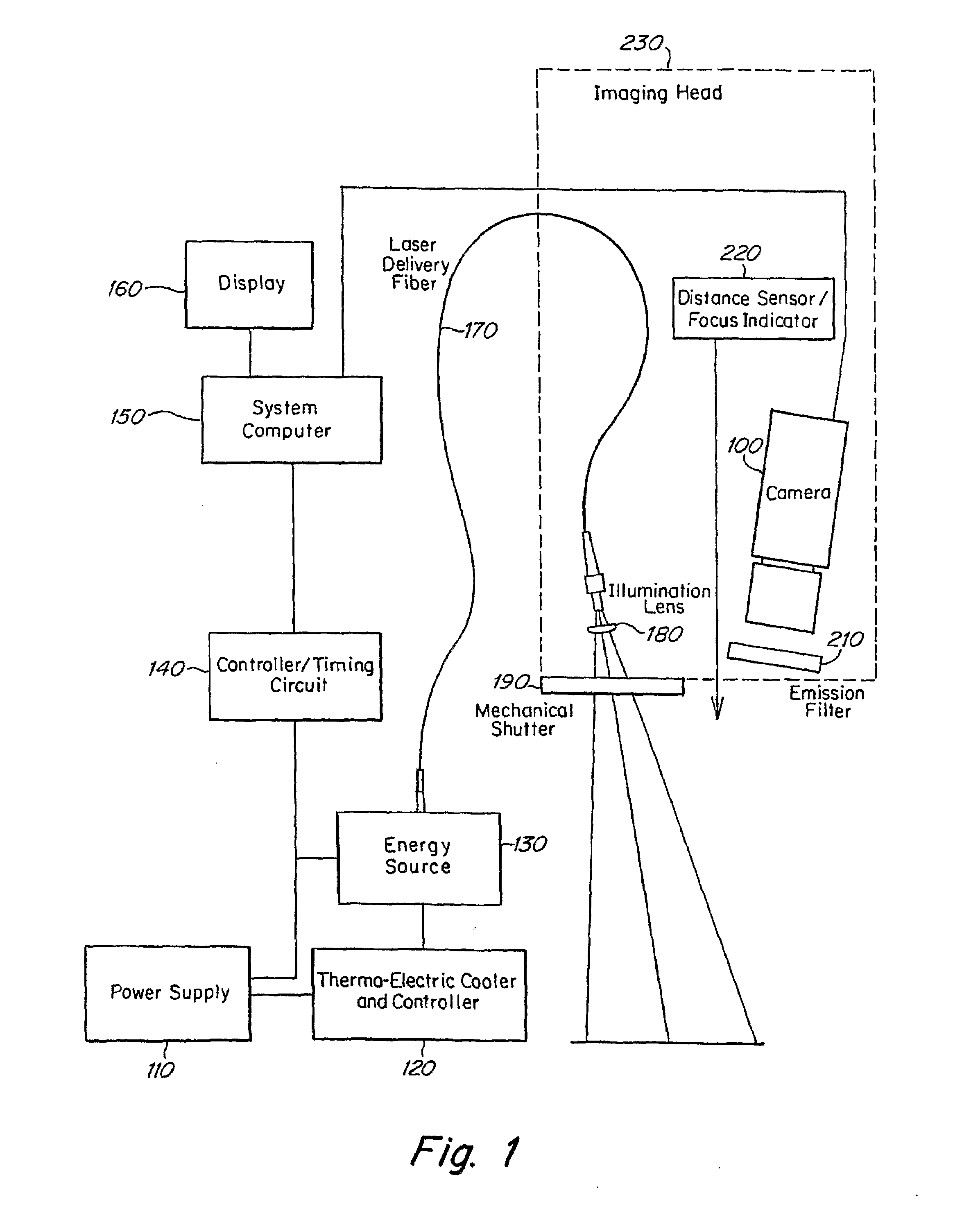 Method and apparatus for vasculature visualization with applications in neurosurgery and neurology