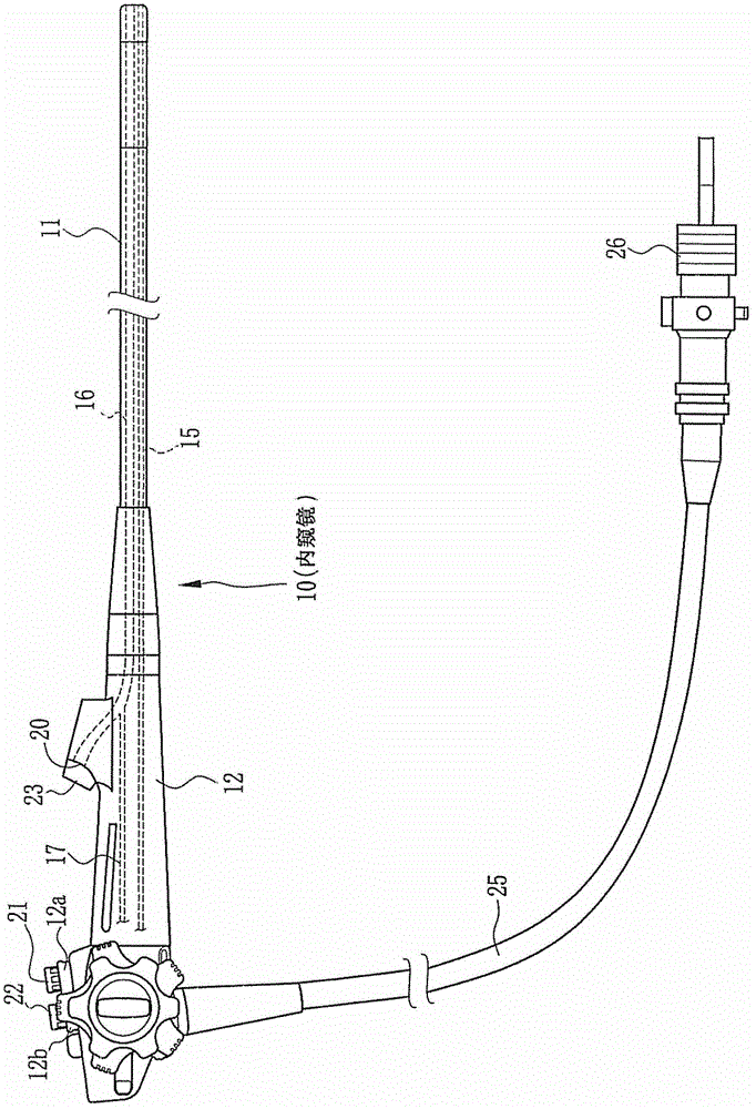 Disinfection device