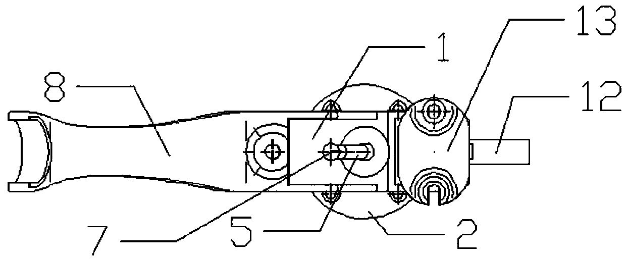 Marine fishing rod fixing device