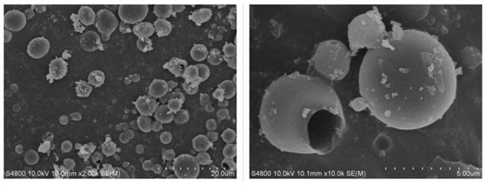 Composite essential oil microcapsule preparation for preventing and treating banana wilt and preparation method thereof