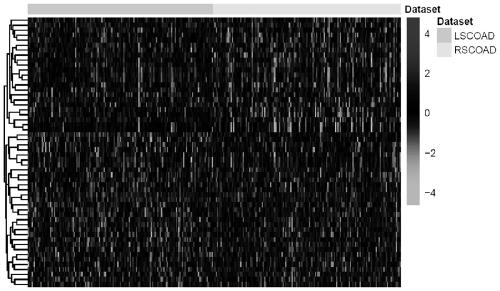 miRNA-6761-5p and new application thereof