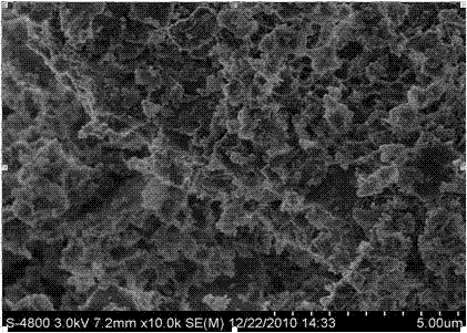 Visible light photocatalyst containing amorphous MgAl2O4 and preparation method thereof