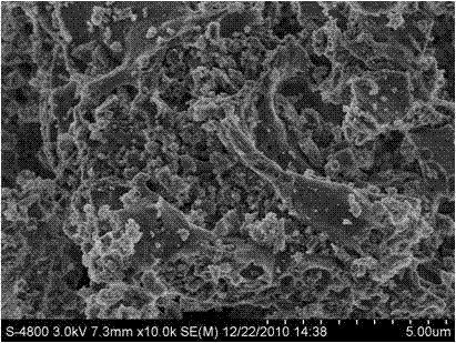 Visible light photocatalyst containing amorphous MgAl2O4 and preparation method thereof