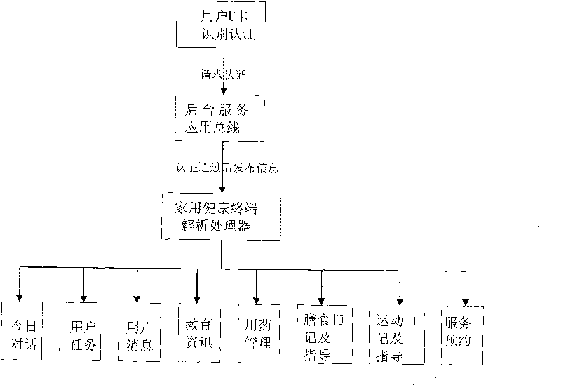 Individualized remote health interacting and monitoring service system and method