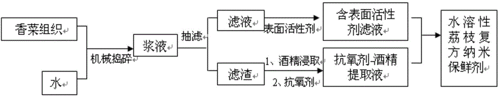 Preparation method and application of water-soluble lychee compound nano preservative