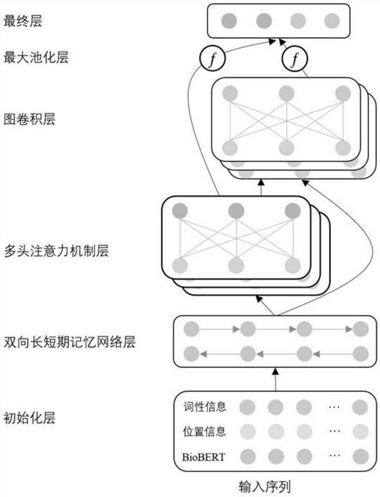 Graph convolutional network biomedical information extraction method based on multi-head attention mechanism