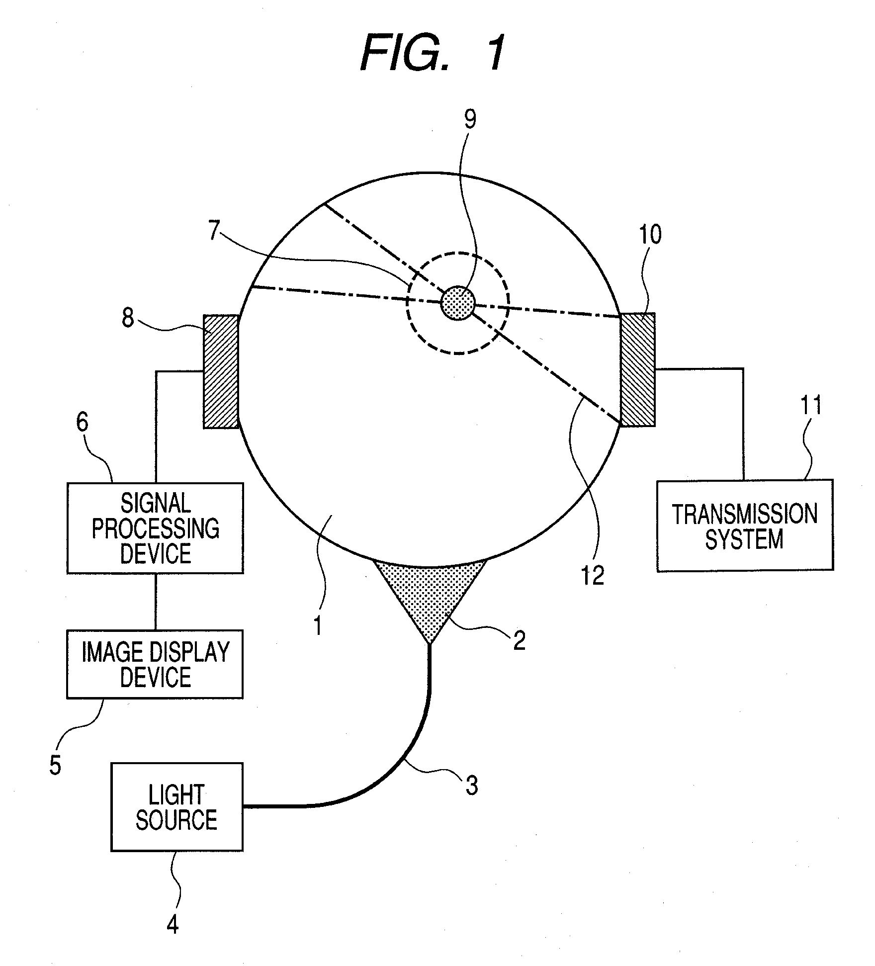 Biological information imaging apparatus and method for analyzing biological information