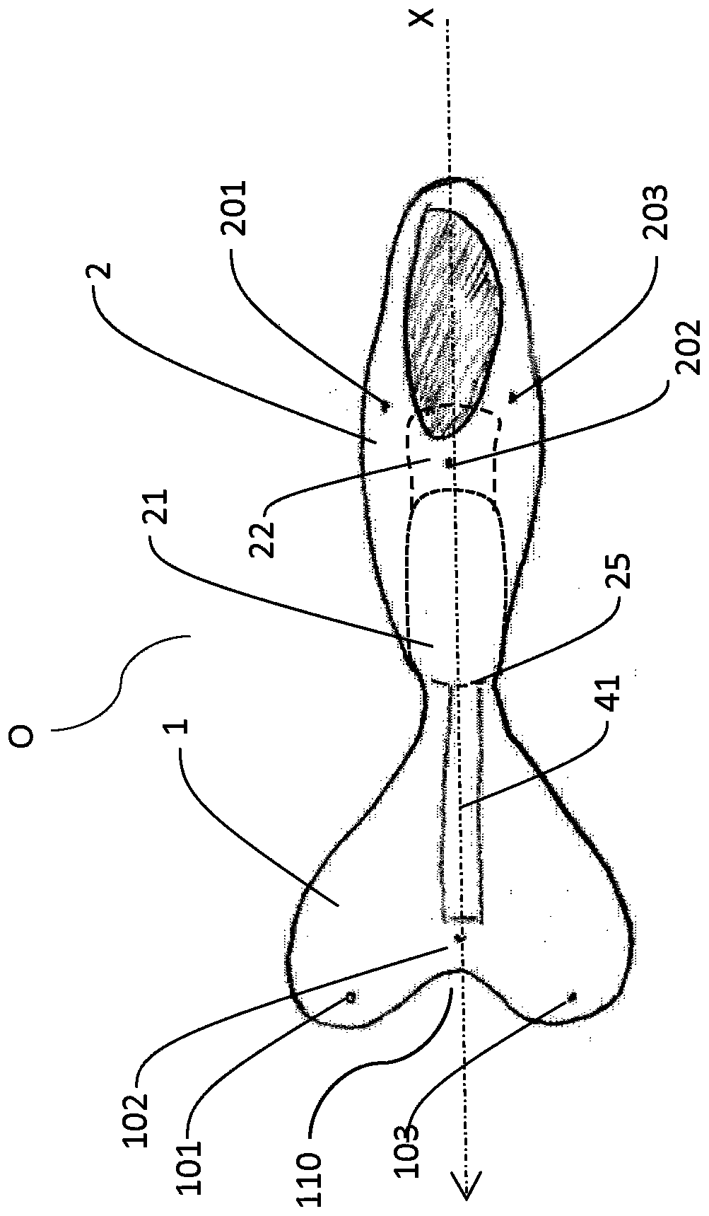 Multi-purpose water shoe