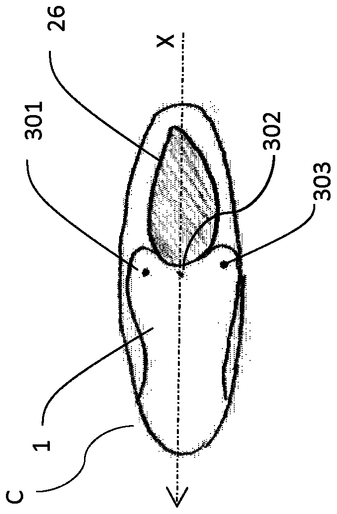 Multi-purpose water shoe