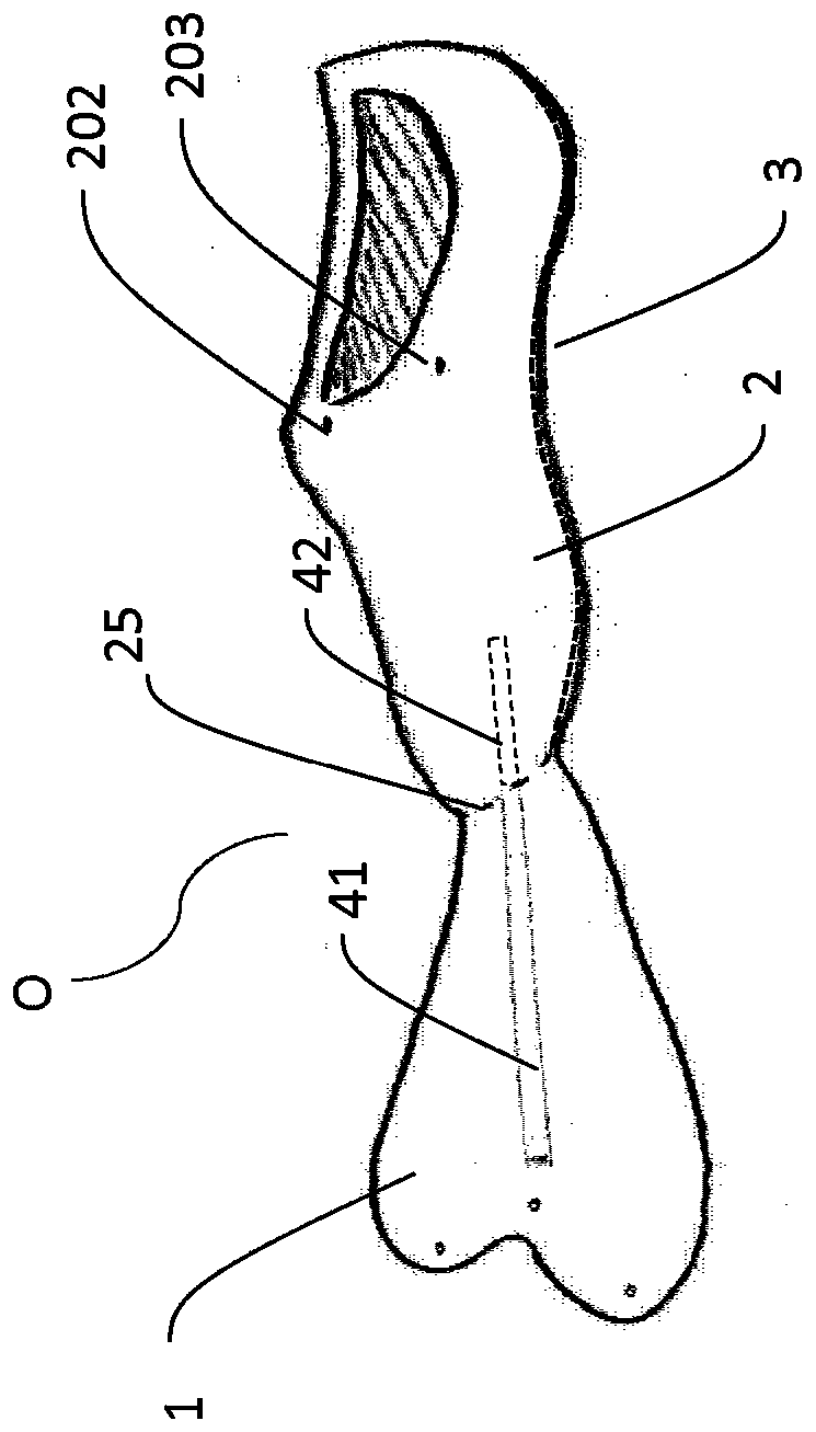 Multi-purpose water shoe