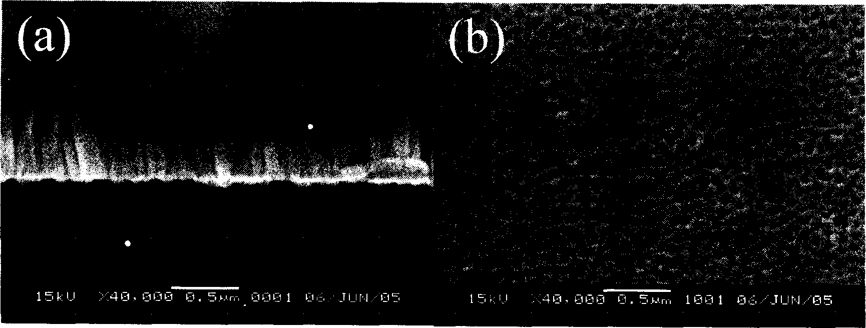 Growth method for gallium nitride film using multi-hole gallium nitride as substrate