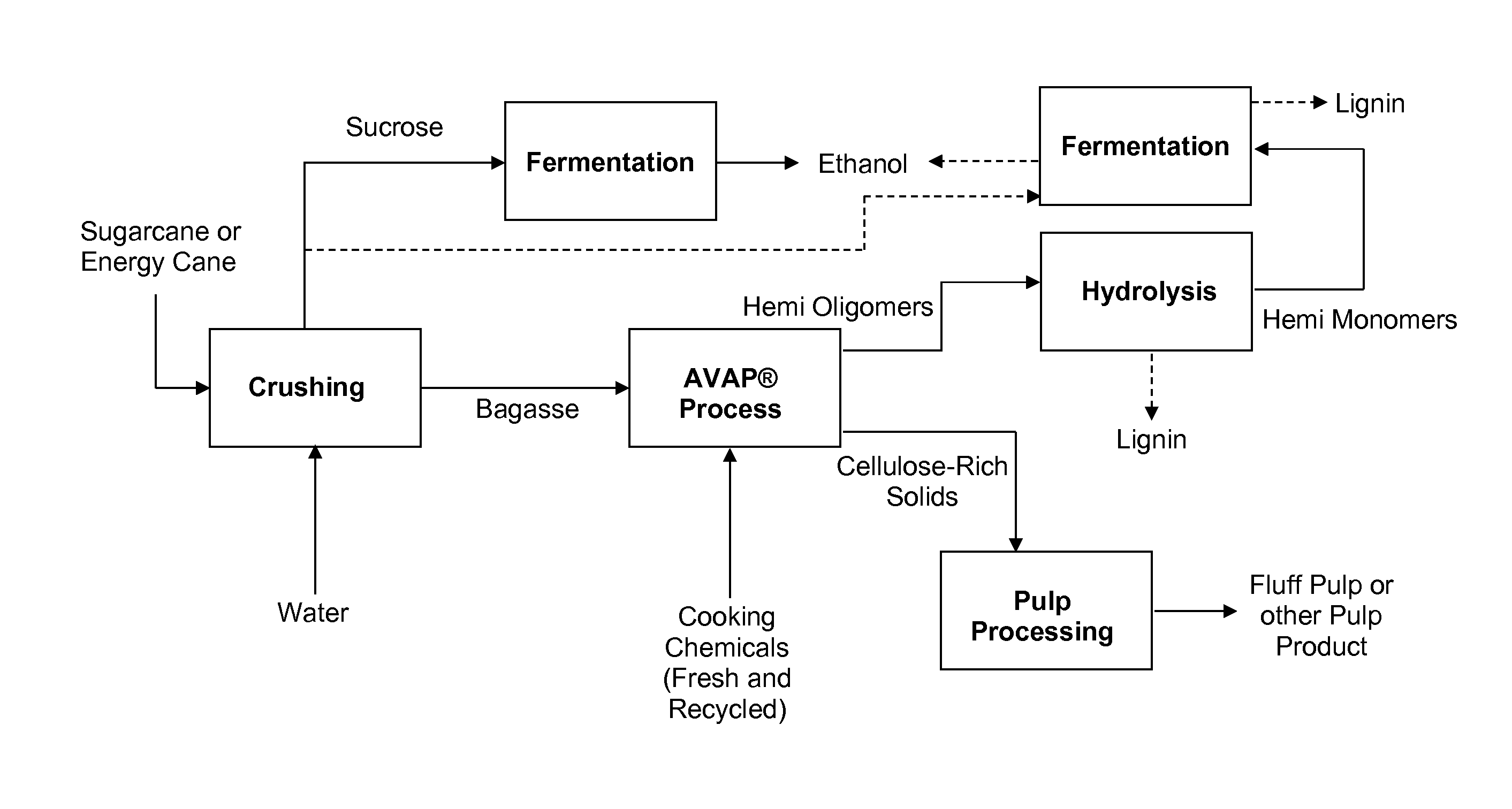 Processes for producing fluff pulp and ethanol from sugarcane