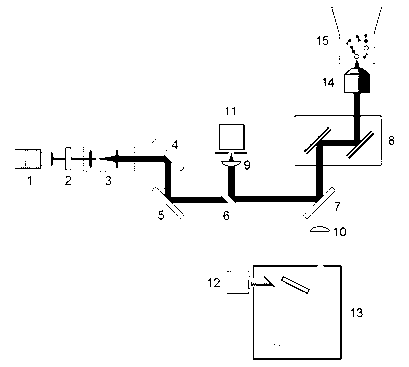 Multichannel quantitative detection device and detection method of two-photon fluorescence optical tweezers