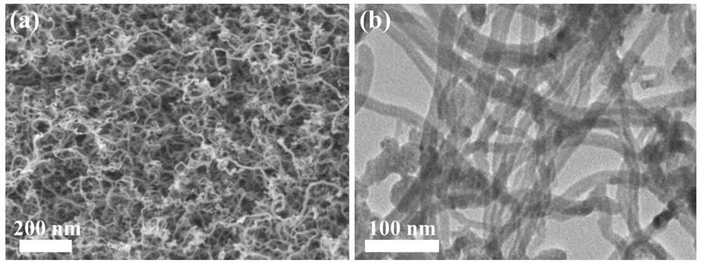 In-situ growth self-supporting nickel-oxygen co-doped carbon nanotube catalyst and preparation method and application thereof