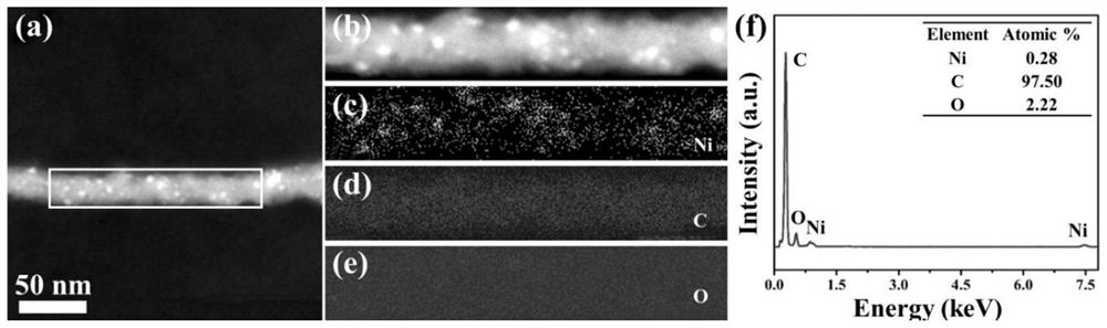 In-situ growth self-supporting nickel-oxygen co-doped carbon nanotube catalyst and preparation method and application thereof