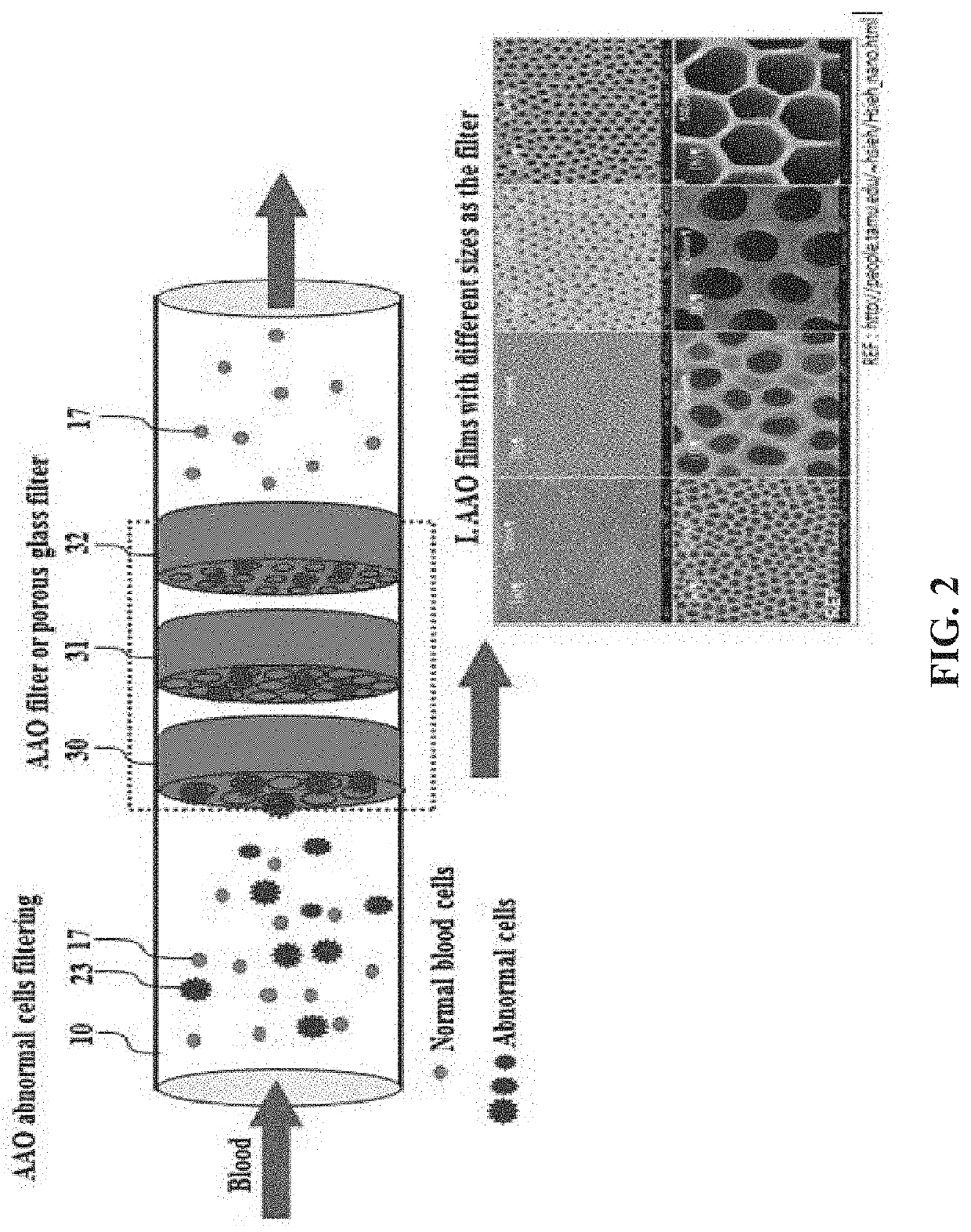 Apparatus and method for microwave therapy for blood cancer treatment