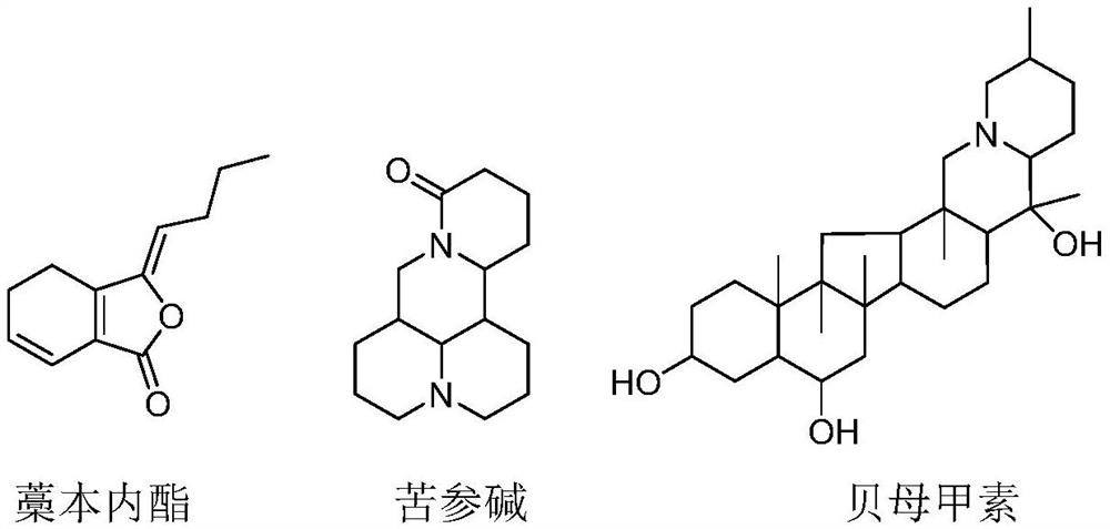 A kind of aerosol for treating chronic obstructive pulmonary disease